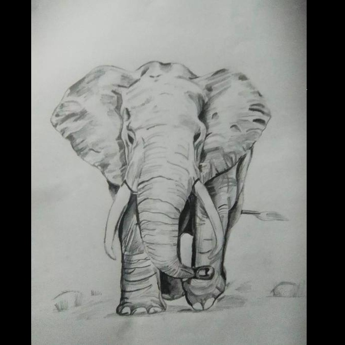 art